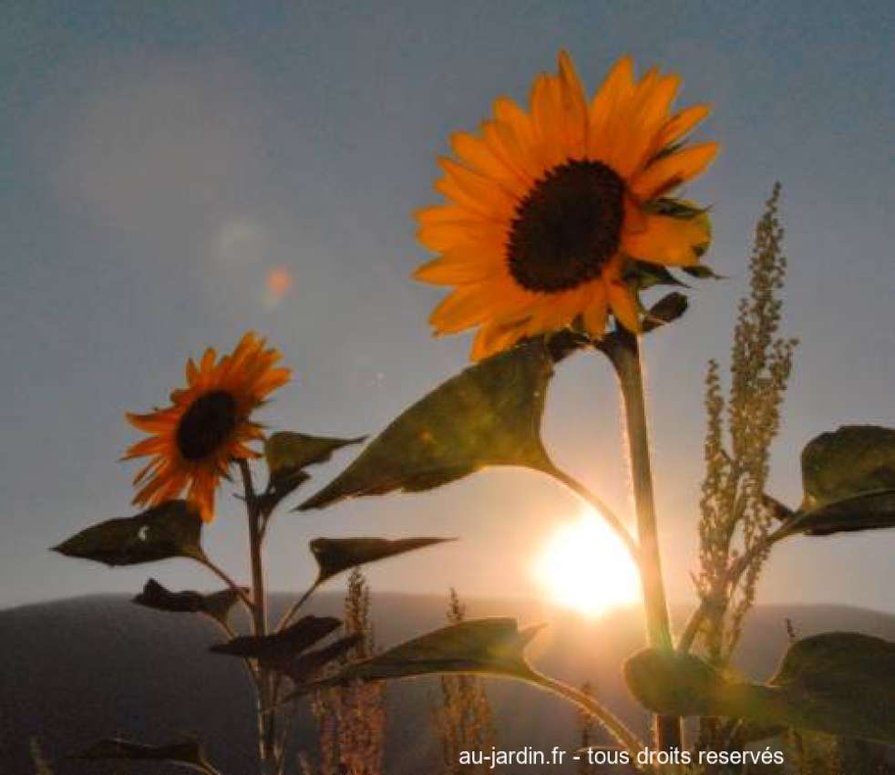 Featured blog image