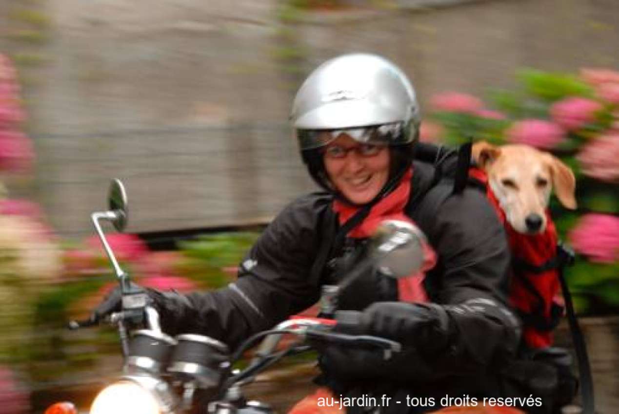 Featured blog image