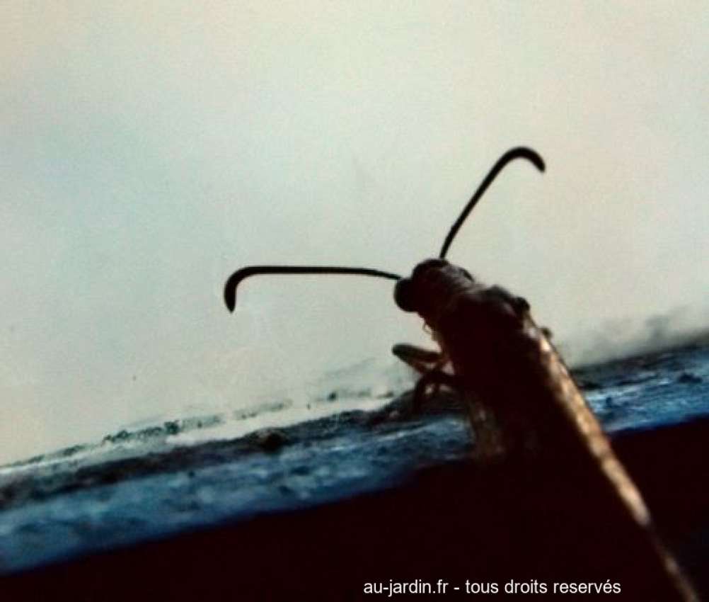 Featured blog image