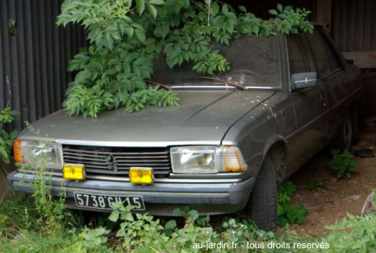 Featured blog image