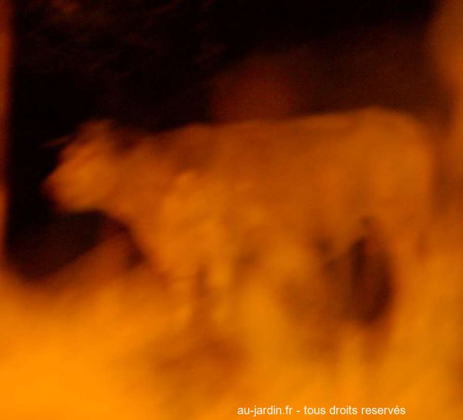 Featured blog image