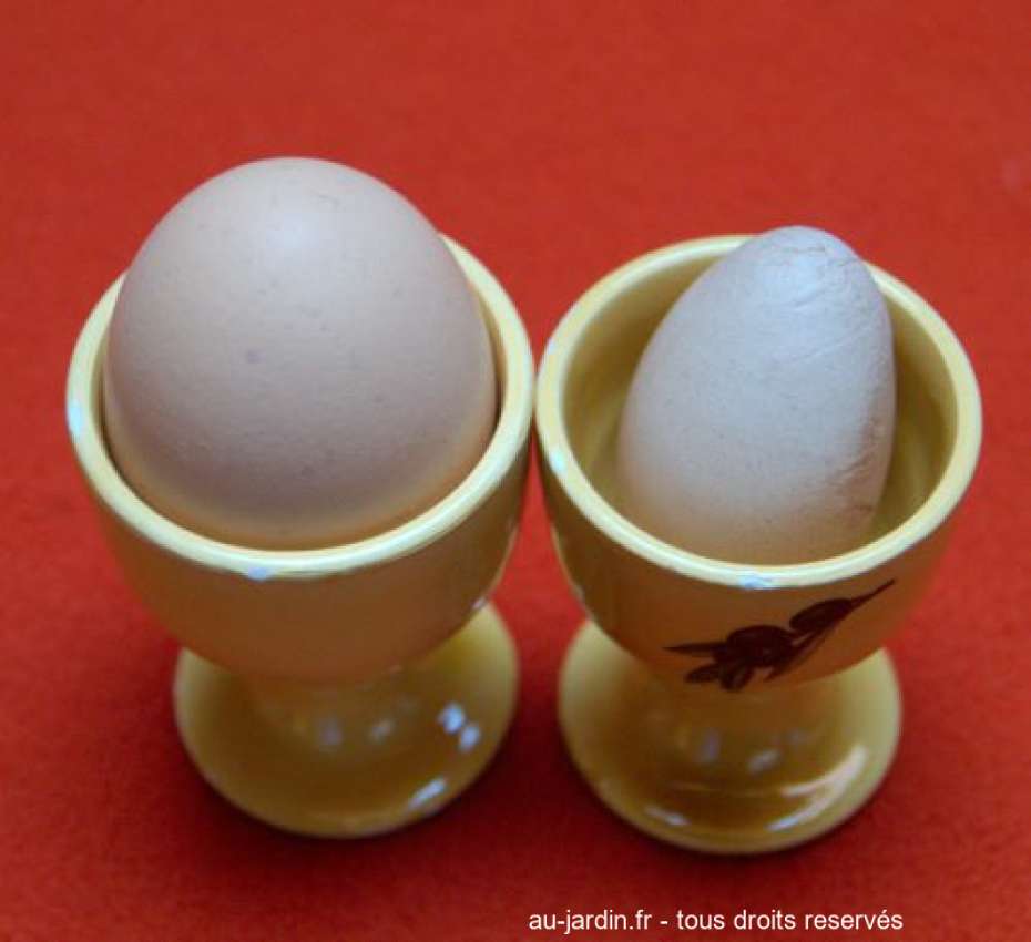 Featured blog image
