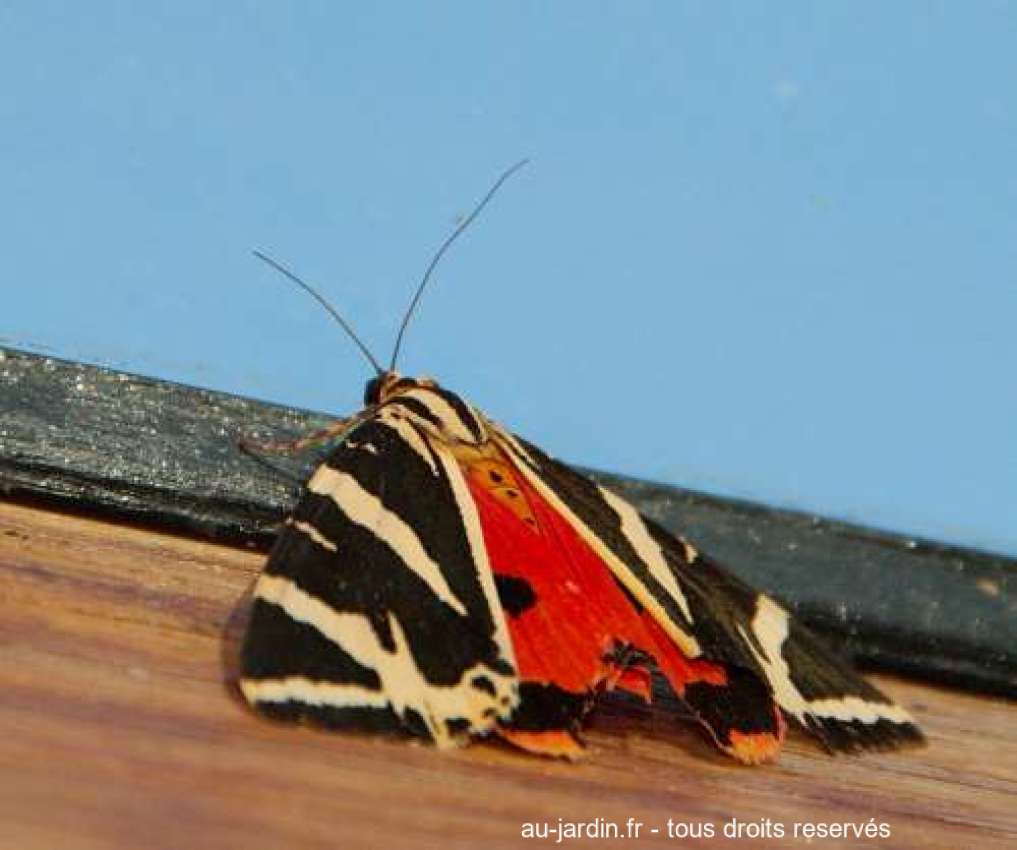 Featured blog image