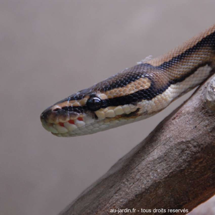 Featured blog image