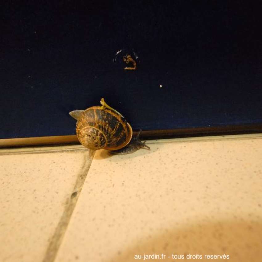 Featured blog image