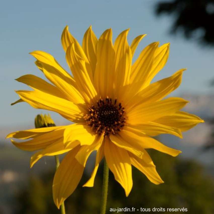 Featured blog image