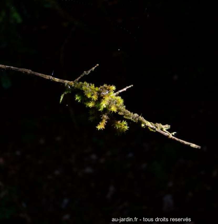 Featured blog image