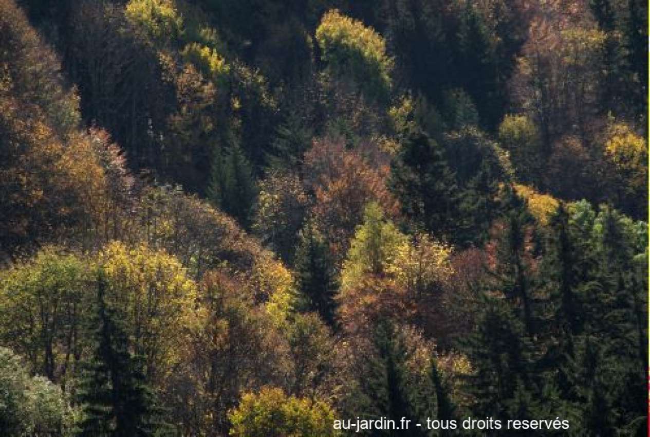 Featured blog image