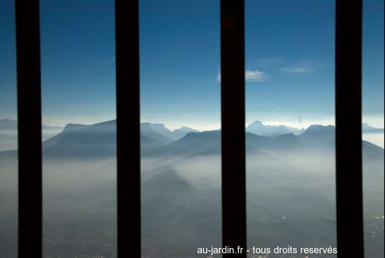 Featured blog image