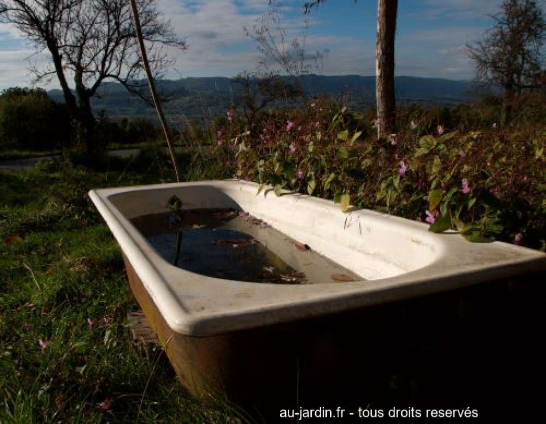 Featured blog image