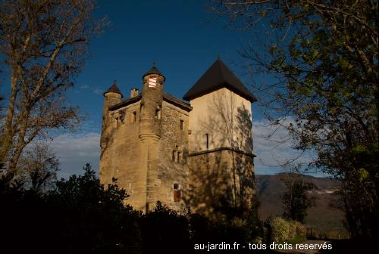 Featured blog image