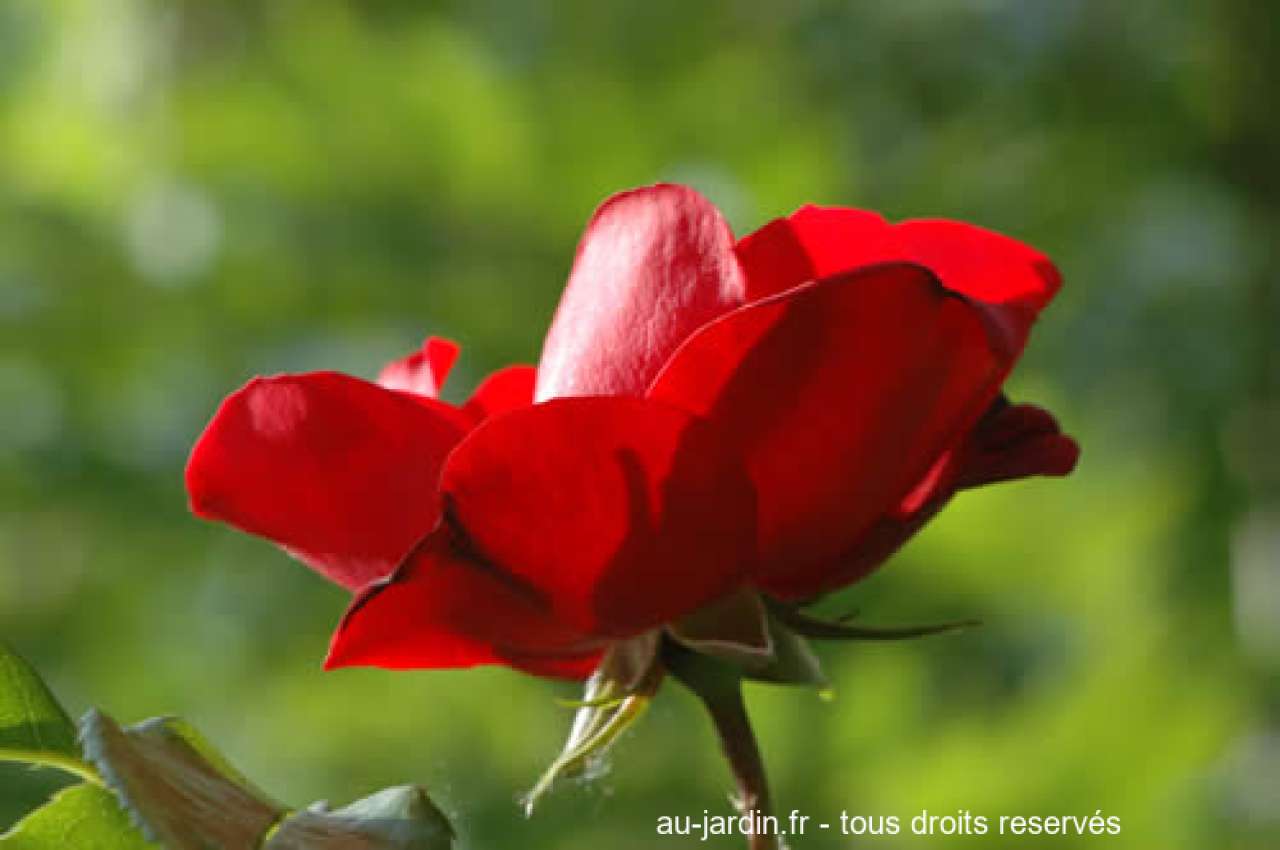 Featured blog image