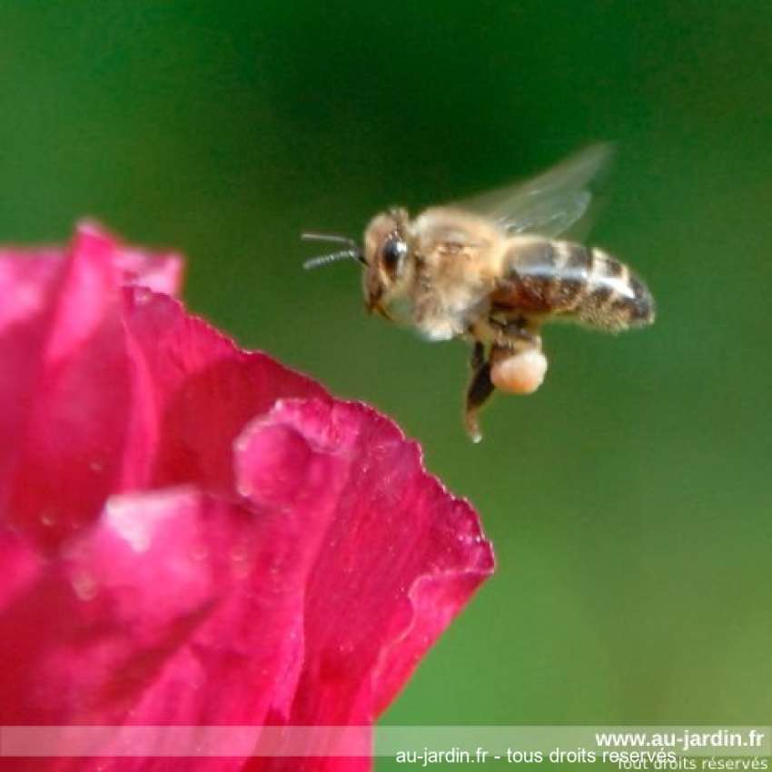 Featured blog image