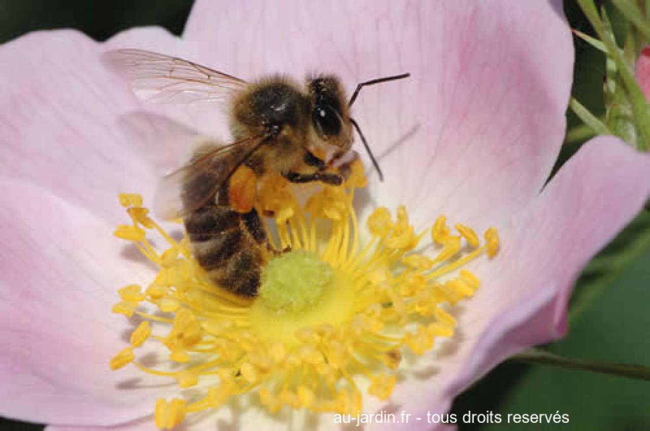 Featured blog image