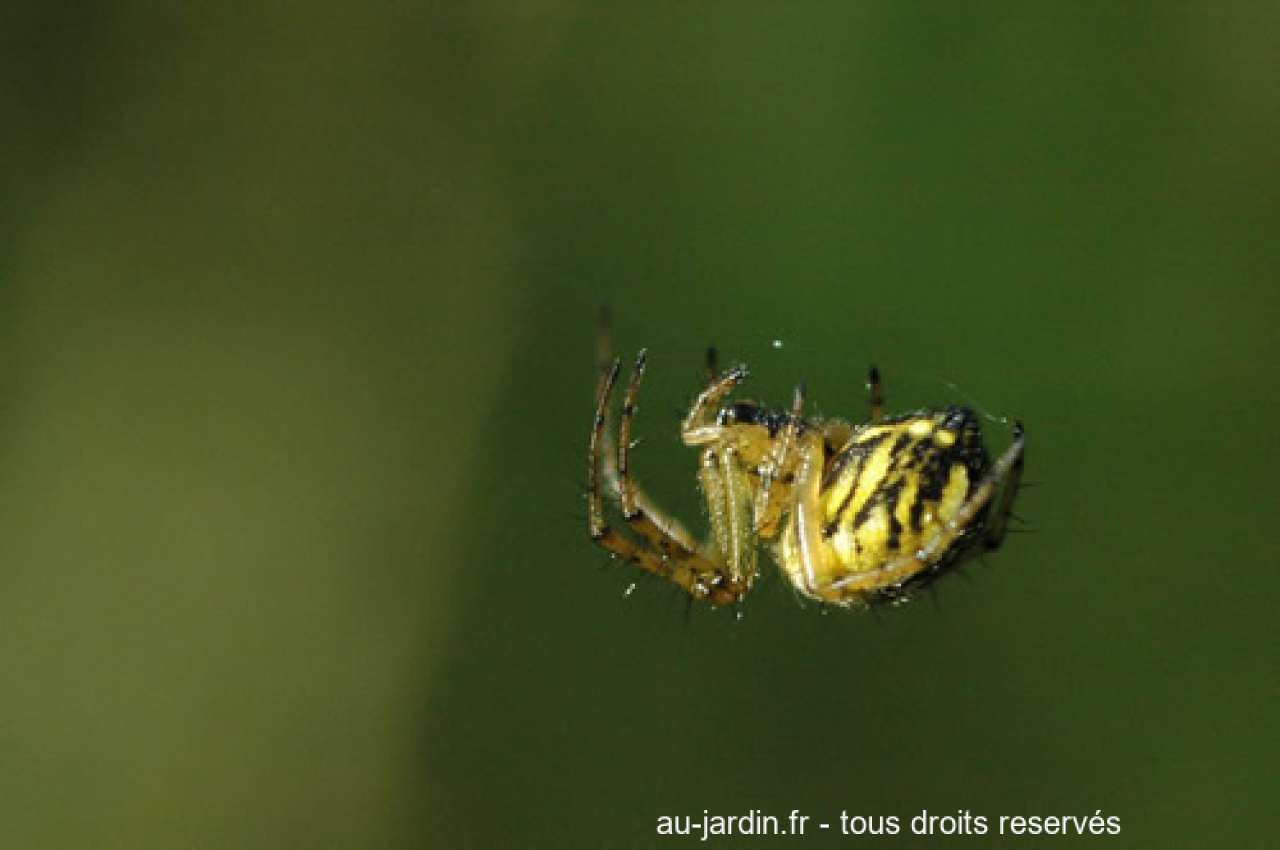Featured blog image