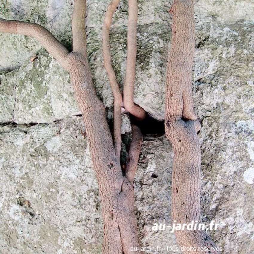 Featured blog image