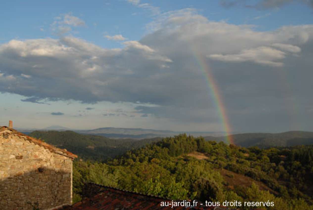 Featured blog image