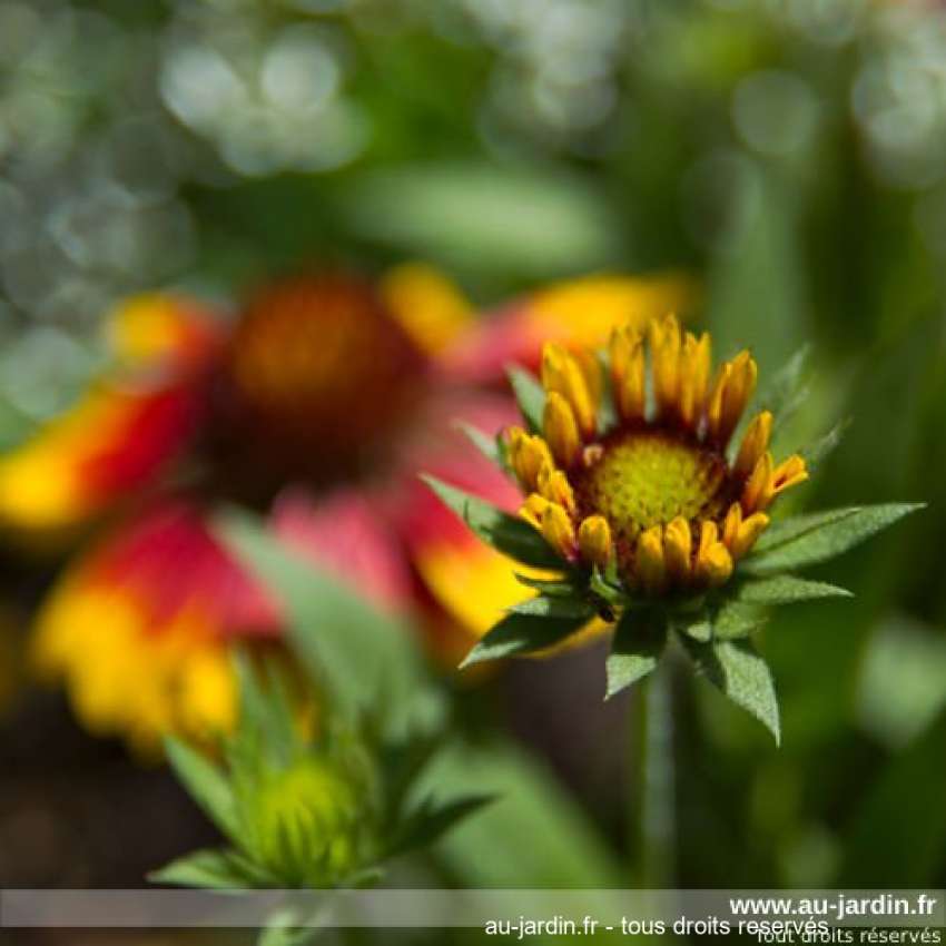 Featured blog image