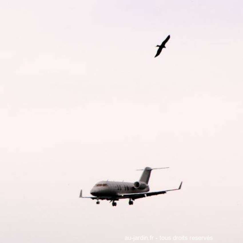 Featured blog image