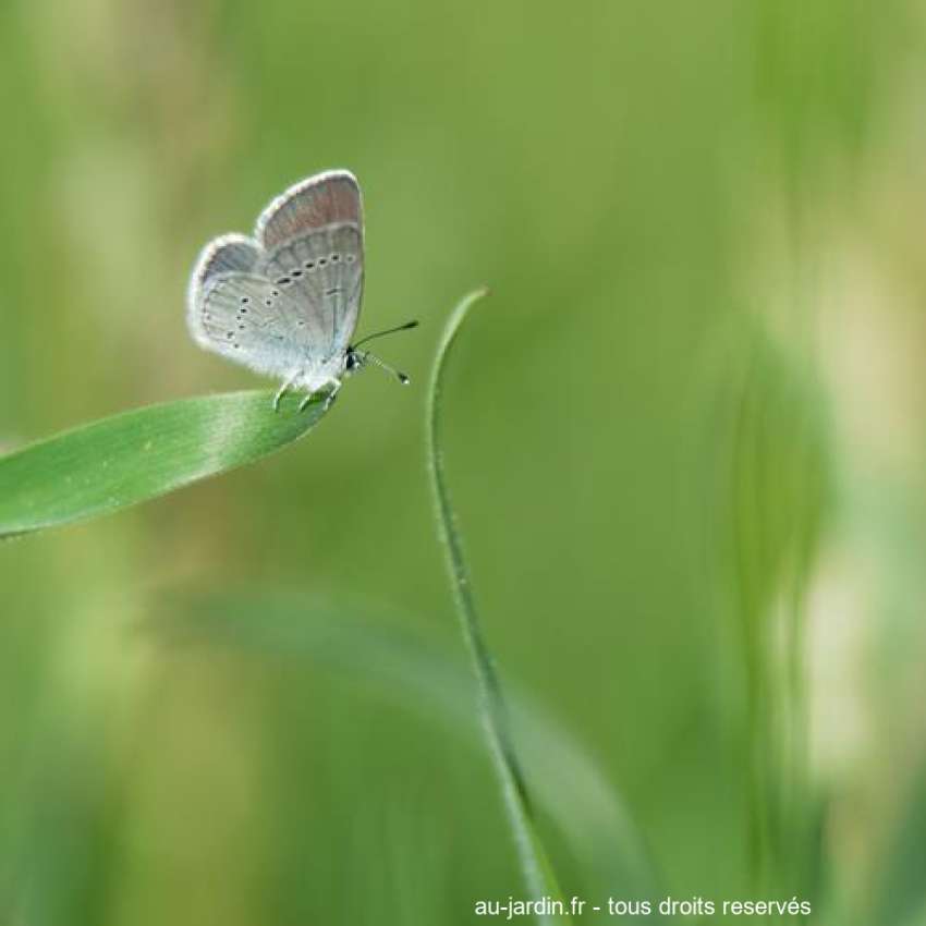 Featured blog image