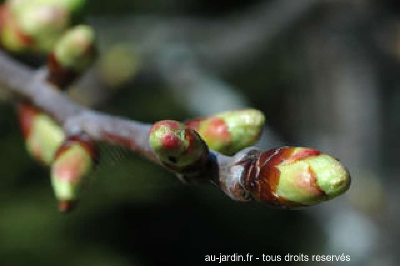 Featured blog image