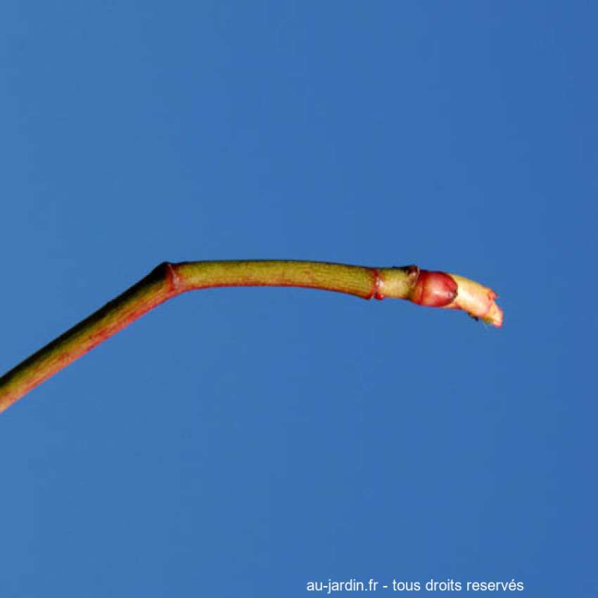 Featured blog image