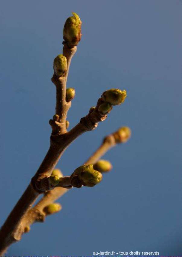 Featured blog image
