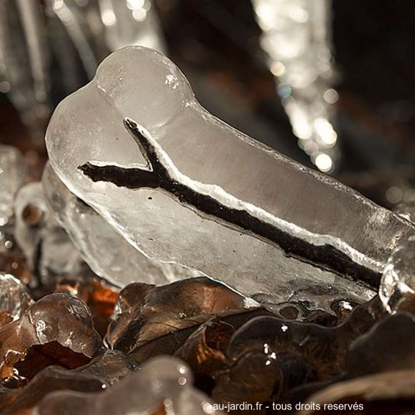 Featured blog image