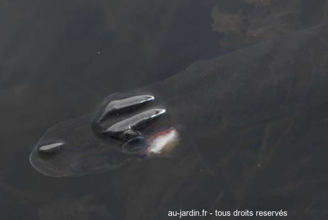 Featured blog image