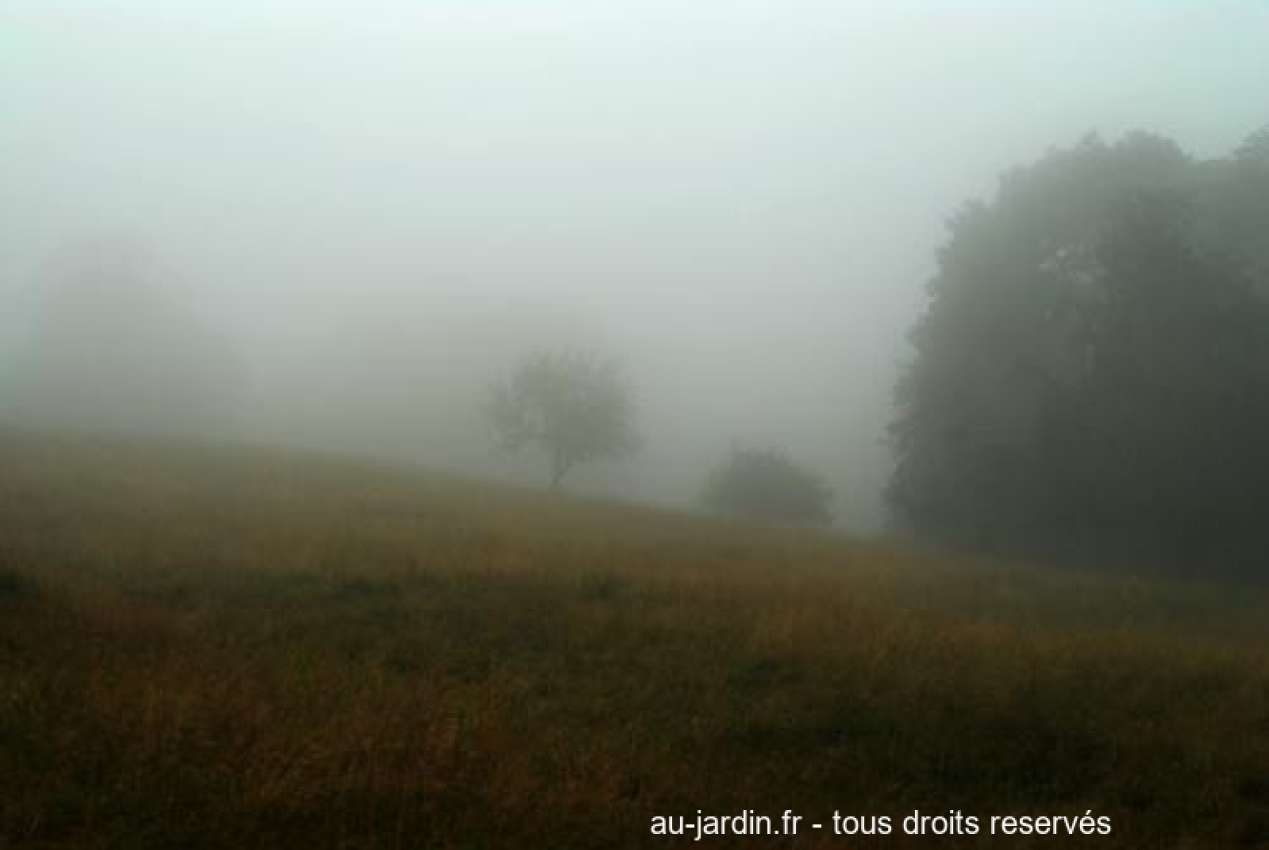 Featured blog image