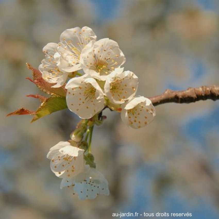 Featured blog image