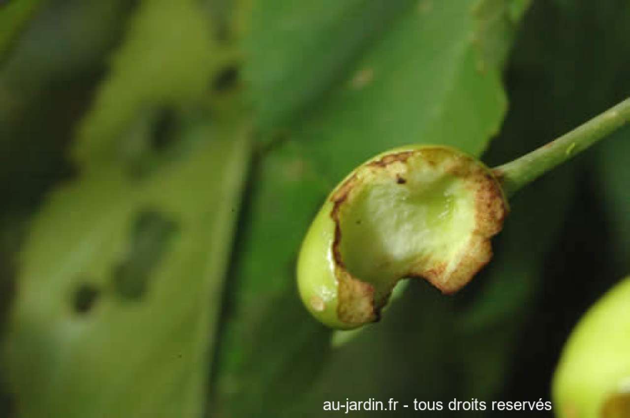 Featured blog image