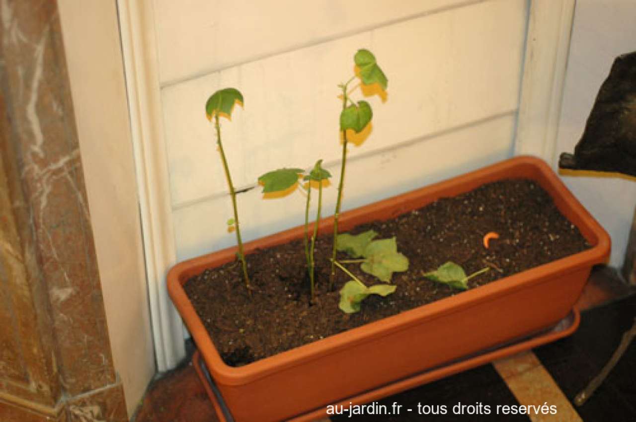 Featured blog image