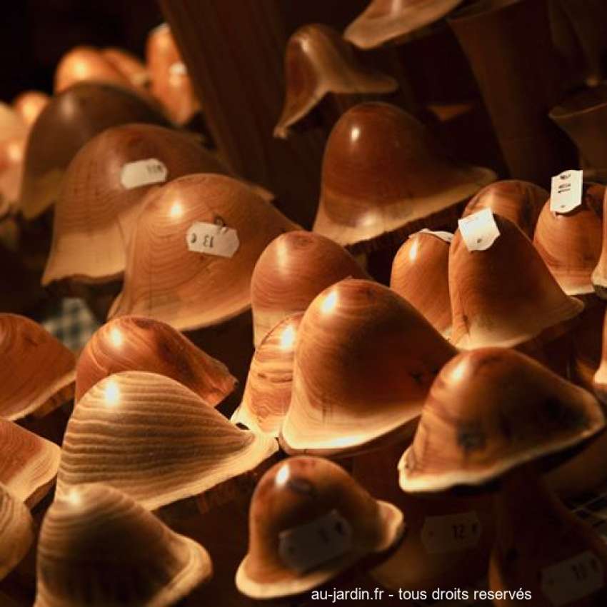 Featured blog image
