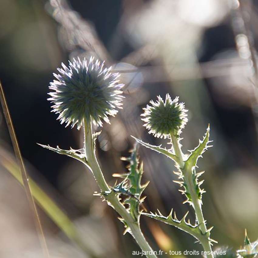 Featured blog image