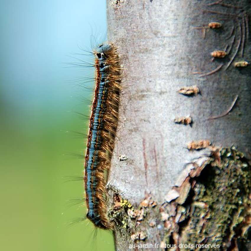 Featured blog image