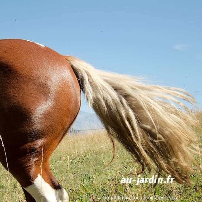 Featured blog image