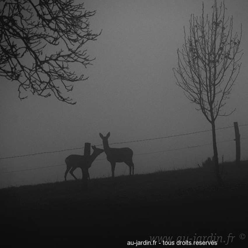 Featured blog image