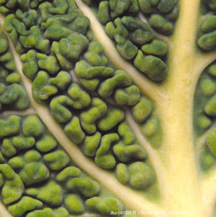 Featured blog image