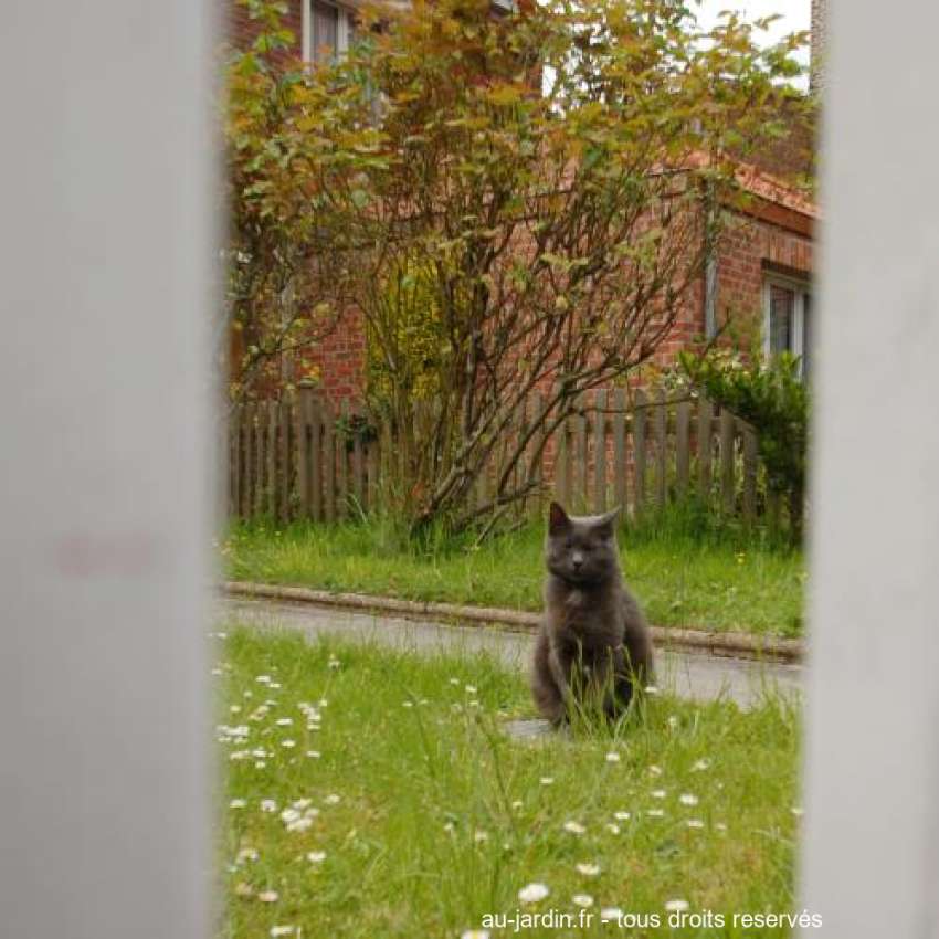 Featured blog image