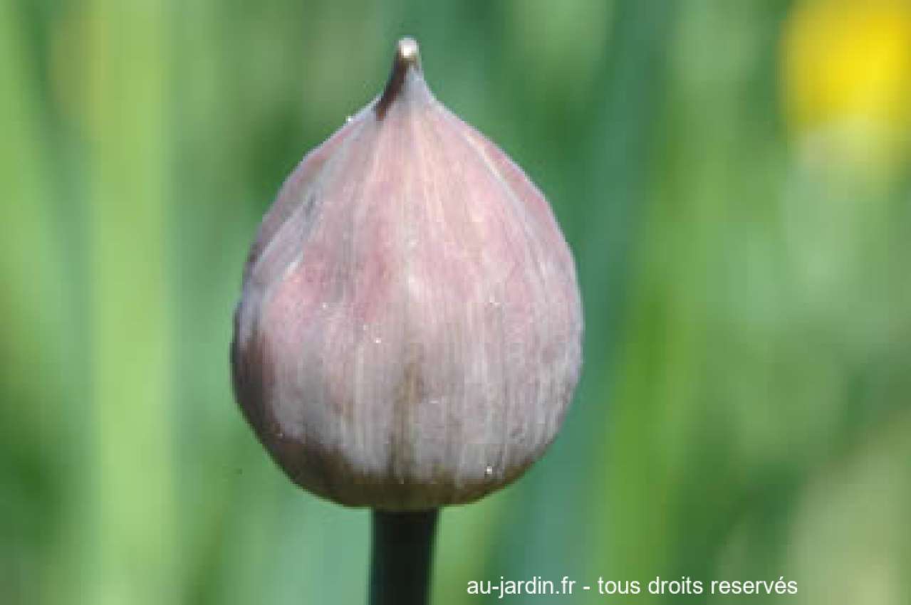 Featured blog image