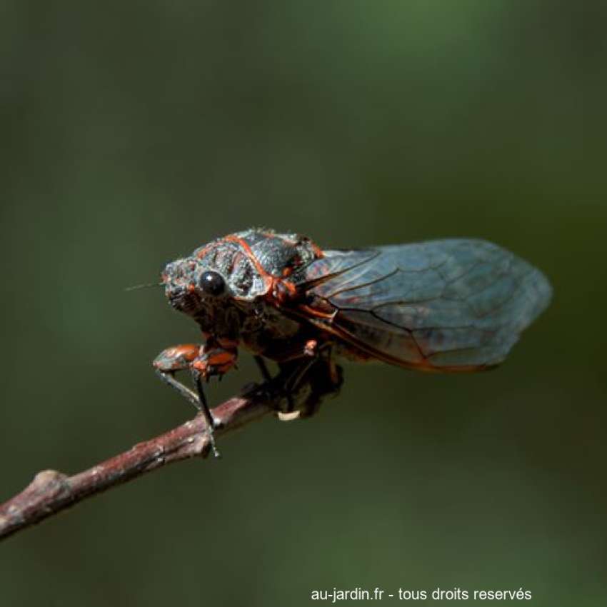 Featured blog image