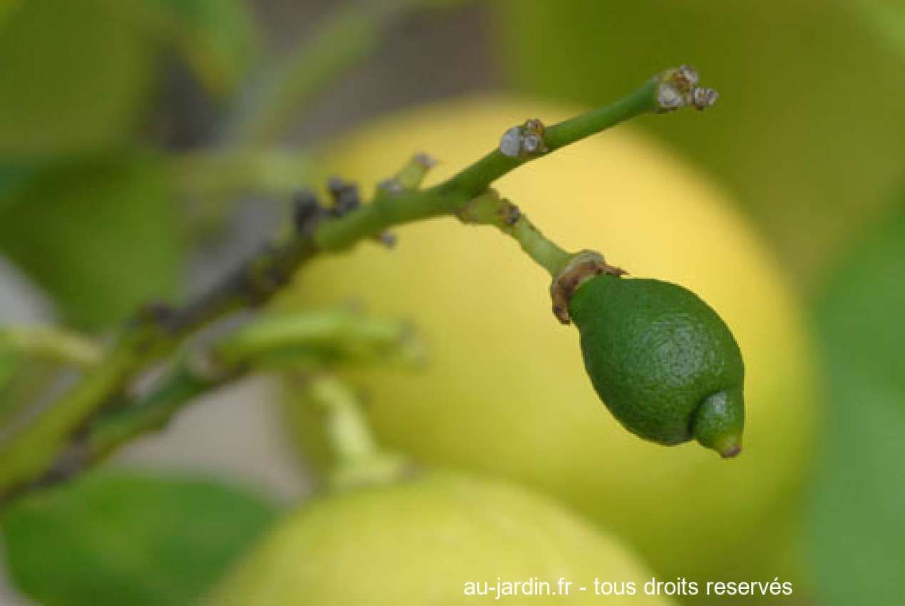 Featured blog image