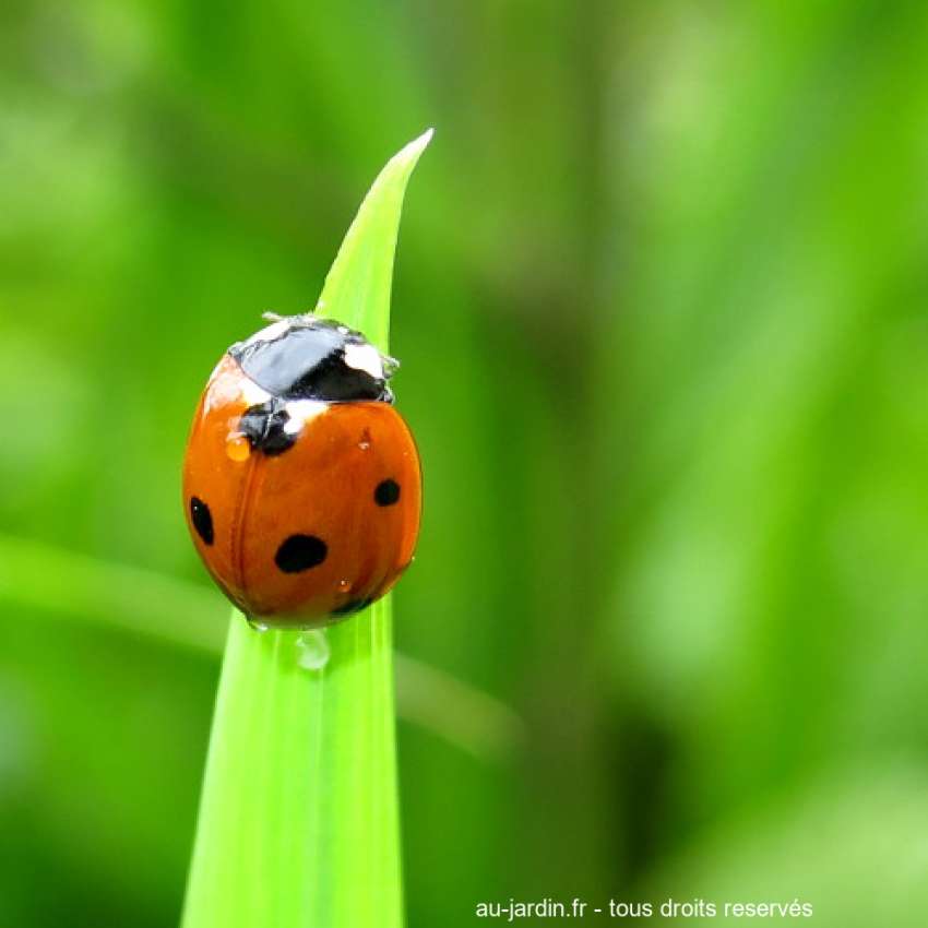 Featured blog image