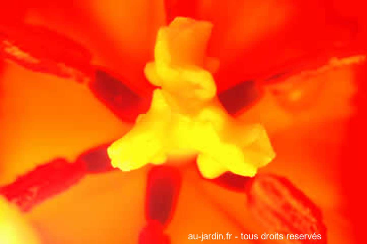 Featured blog image
