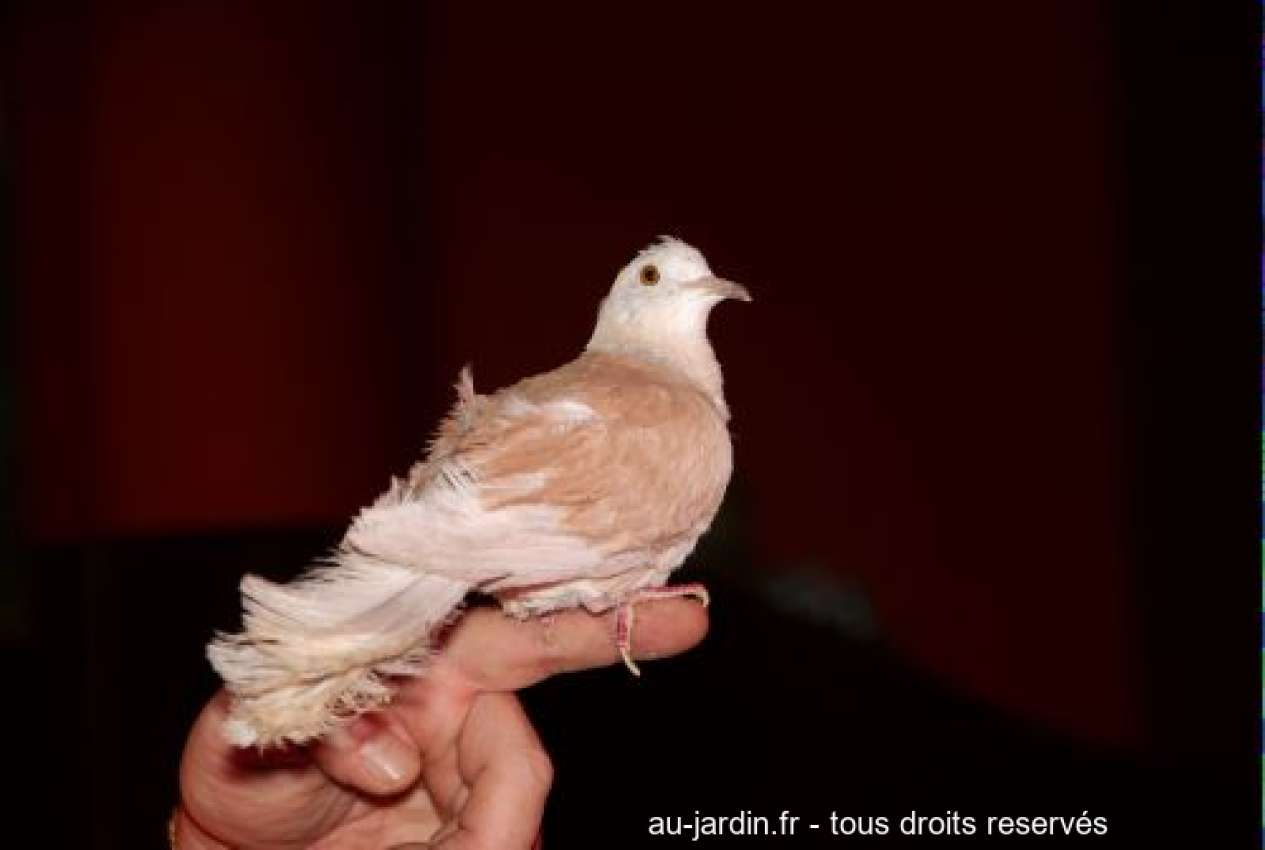 Featured blog image
