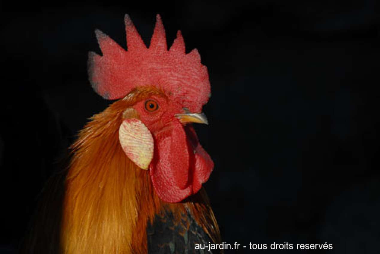 Featured blog image