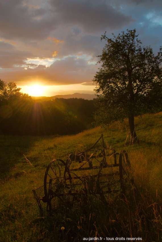 Featured blog image