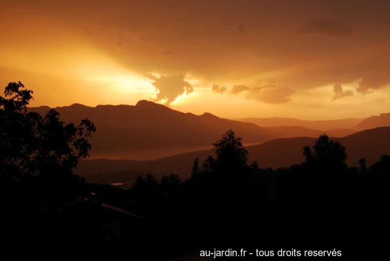 Featured blog image
