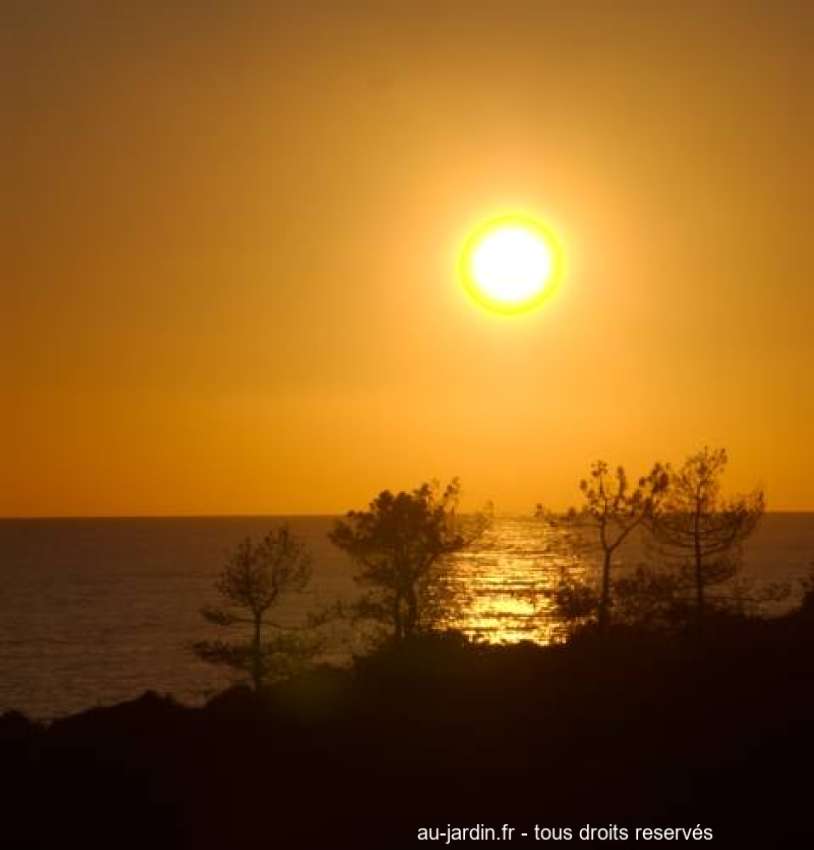 Featured blog image